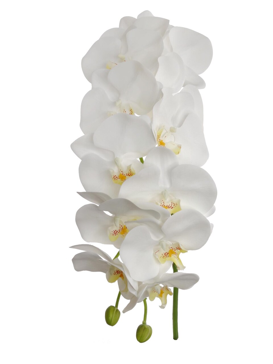 Set of 3 White Silk Phalaenopsis Orchid Stems - 41" Lifelike Flowers with Green Buds - Elegant Floral Accents for Home Decor, Events, and Centerpieces by Floral Home by Artificial Flowers